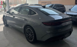 
										BYD Qin L DM-i 120 km Excellence PHEV full									