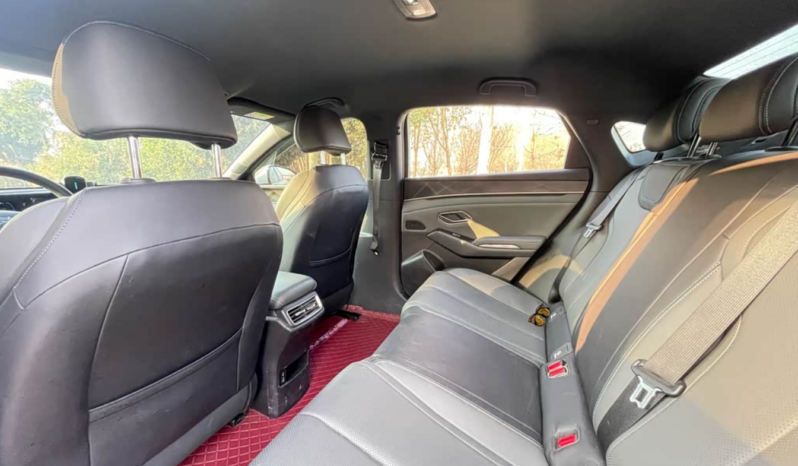 
								BYD Qin L DM-i 80 km PHEV full									