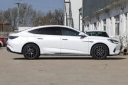 
										BYD Seal 06 DM-i full									