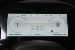 
										BYD Seal 06 DM-i full									