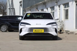 
										BYD Seal 06 DM-i full									