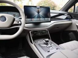 
										BYD Tang DM 5.0 PHEV full									